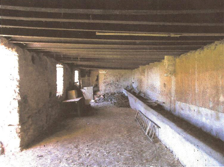 casolare 9